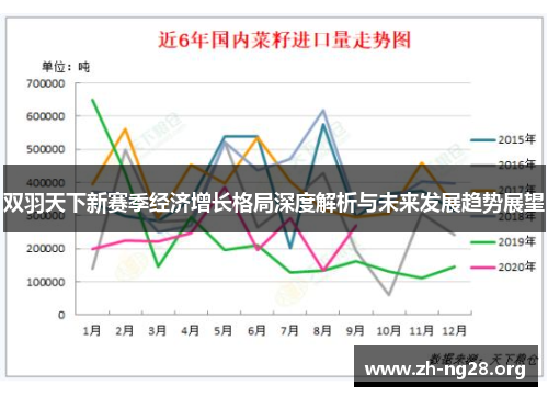 双羽天下新赛季经济增长格局深度解析与未来发展趋势展望
