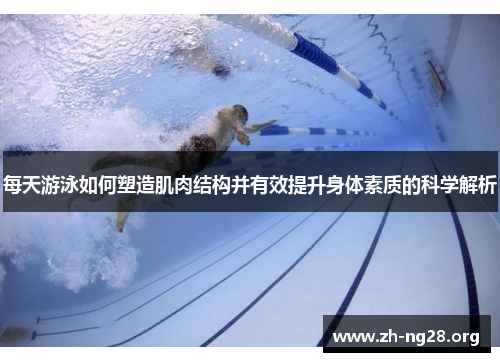 每天游泳如何塑造肌肉结构并有效提升身体素质的科学解析