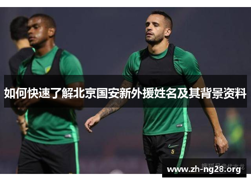 如何快速了解北京国安新外援姓名及其背景资料