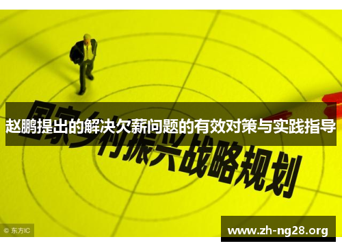 赵鹏提出的解决欠薪问题的有效对策与实践指导