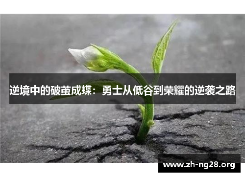 逆境中的破茧成蝶:勇士从低谷到荣耀的逆袭之路