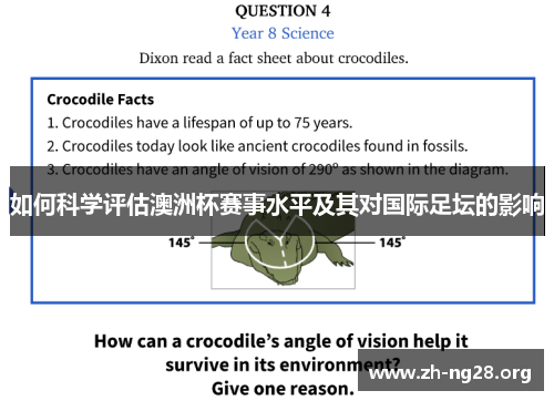 如何科学评估澳洲杯赛事水平及其对国际足坛的影响